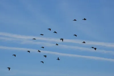 DSC_3057 (Large).JPG